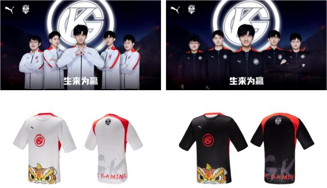 适应阶段 适应阶段