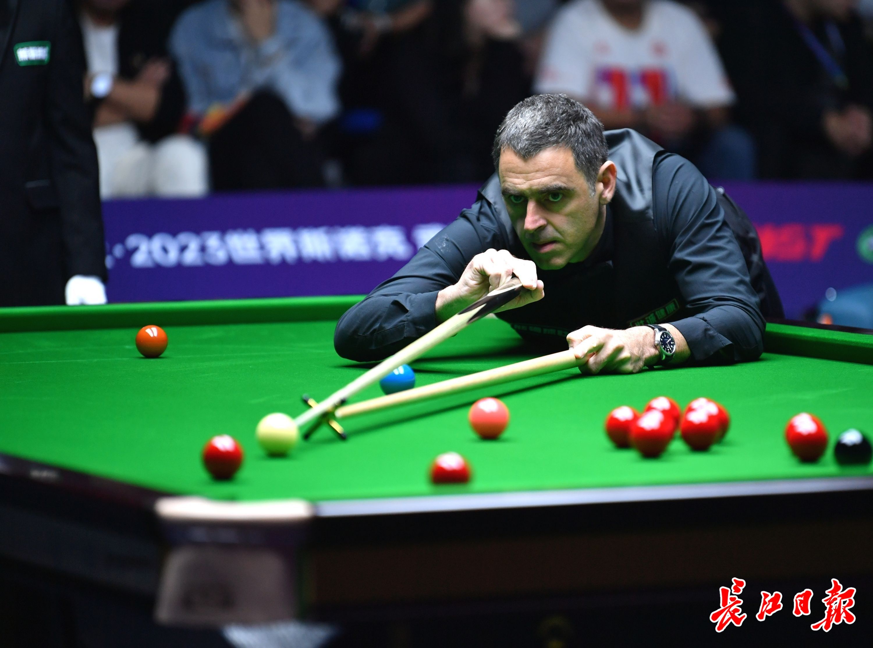 赛场的新人 赛场的新人