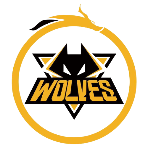 职业生涯的 职业生涯的