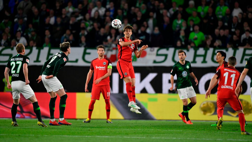 本文将详细 本文将详细