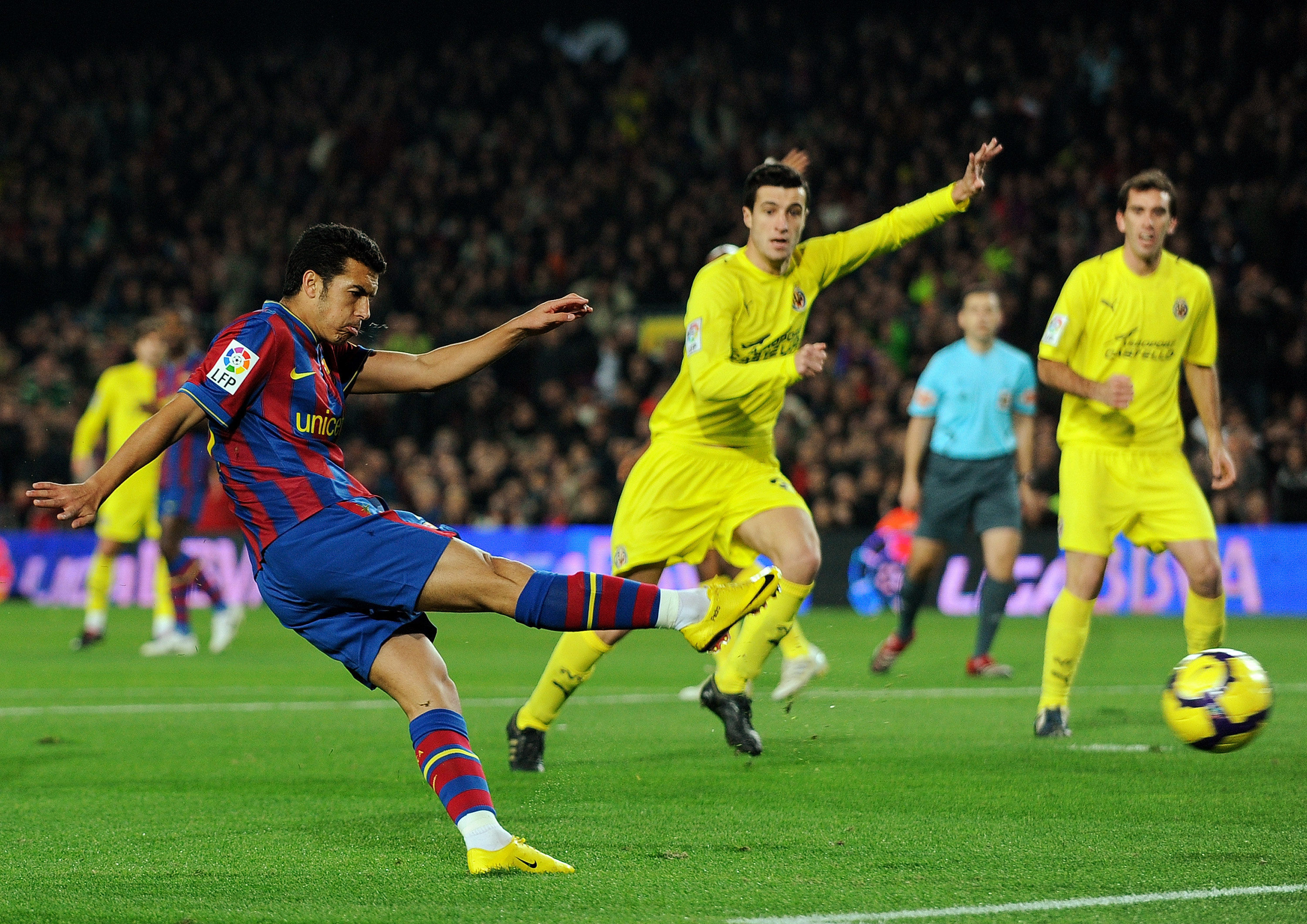 他们很可能 他们很可能