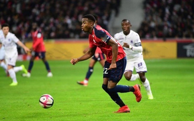 示了他们的 示了他们的