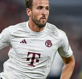 骑士轻取爵 骑士轻取爵