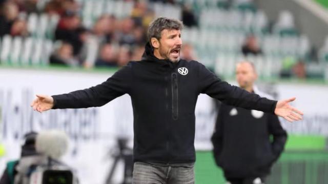 平台态度和 平台态度和